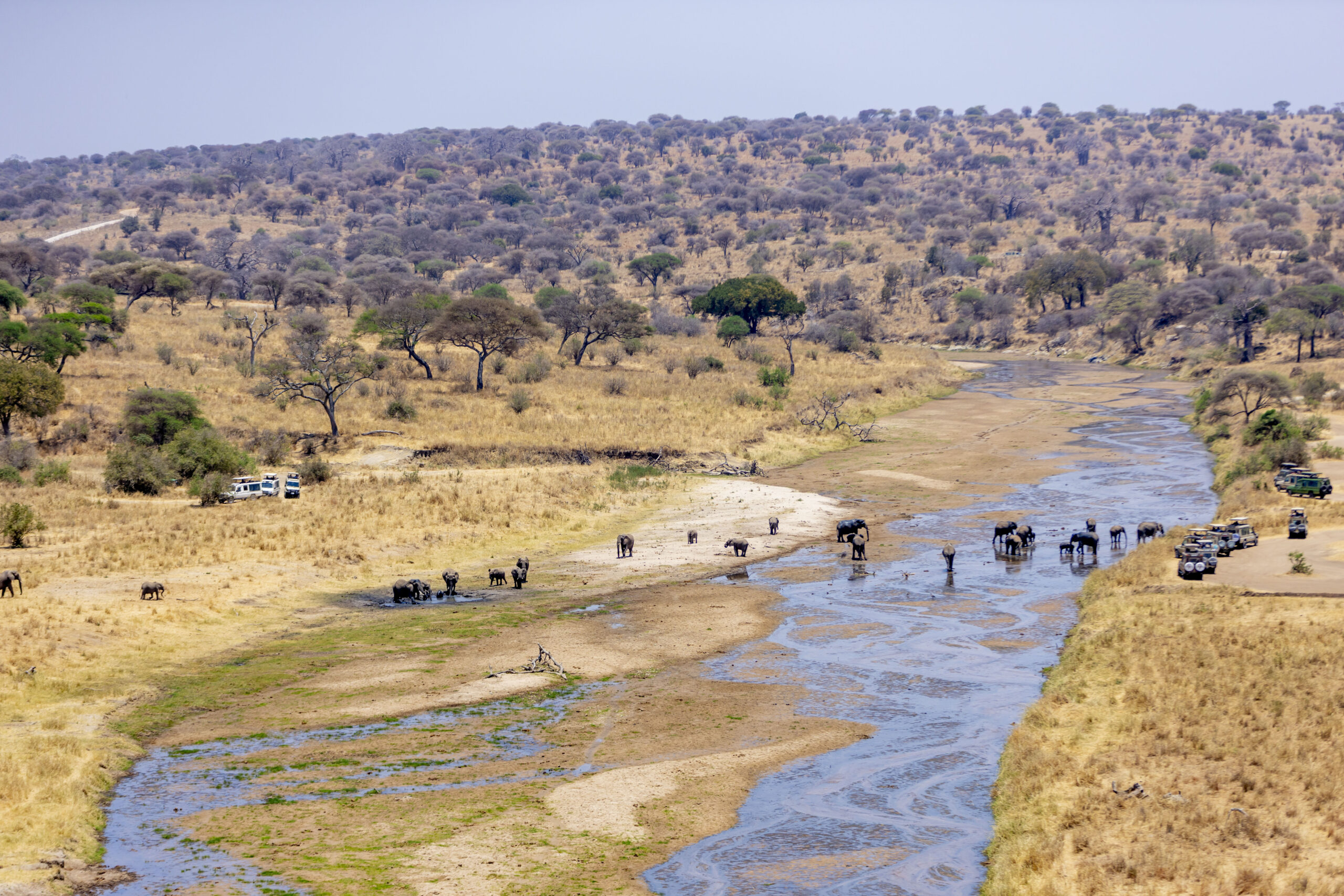 Explore Tanzania, Tarangire National park